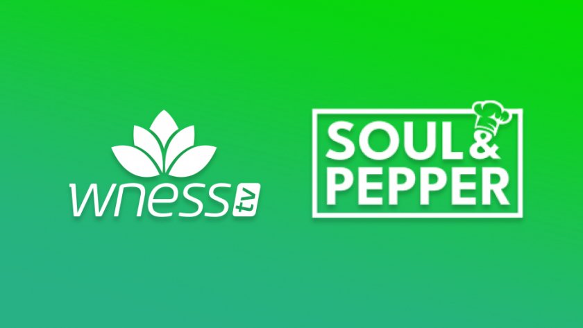 Каналът за здравословен начин на живот Wness TV и българският кулинарен канал Soul & Pepper TV ще бъдат предлагани от bTV Media Group