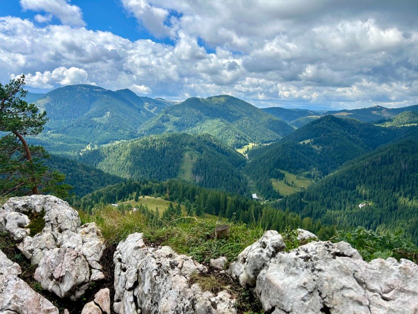 Спирката на Gen Z