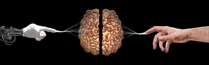 Havas: AI спестява усилия на брандовете, но само 29% от хората намират комуникацията на марките с AI за човешка