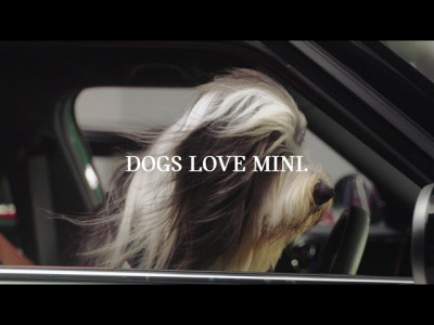 Реклама на Mini с кучета е лидер по ефективност