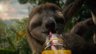 Ленивецът, който трябва да спаси Tropicana